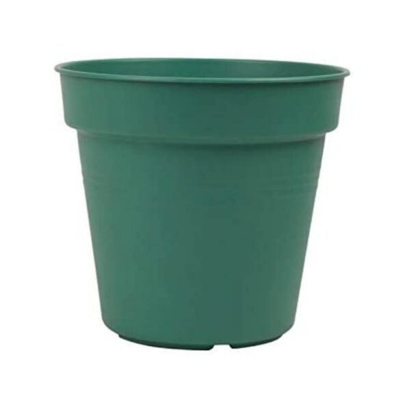 55570.jpg