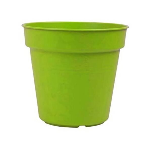 55576.jpg