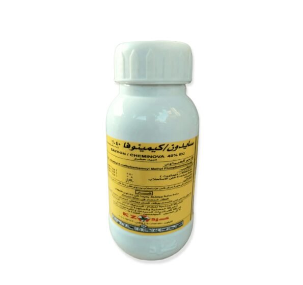 PhotoRoom-D9A2D9A0D9A2D9A1D9A1D9A0D9A1D9A2_D9A1D9A9D9A3D9A2D9A0D9A2.jpg
