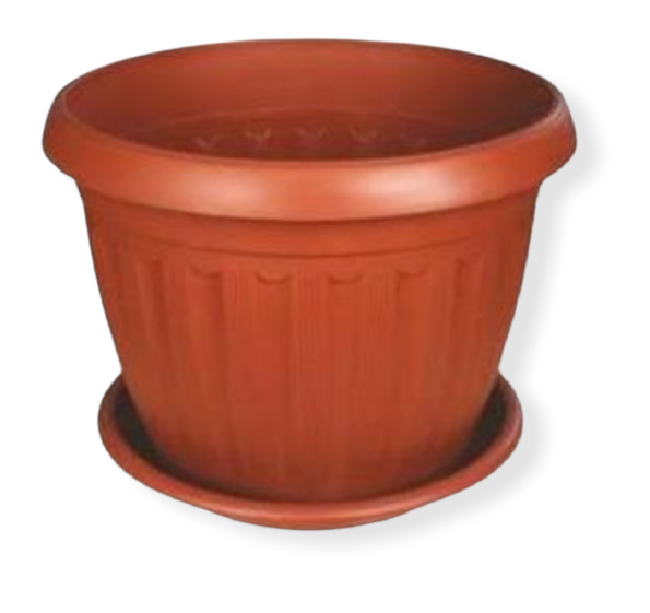 PhotoRoom-٢٠٢١٠٨٣١_١٧٤٤٢٨.png