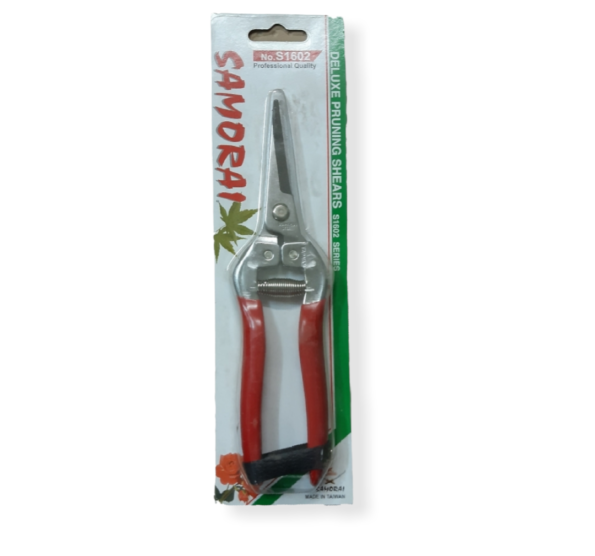 PhotoRoom-٢٠٢١٠٩١٣_٠٠٤٥٣٧.png