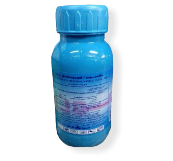 PhotoRoom-٢٠٢١٠٩١٣_٠٠٤٦٤٩.png