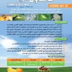 PhotoRoom-D9A2D9A0D9A2D9A1D9A1D9A0D9A1D9A2_D9A1D9A9D9A3D9A2D9A0D9A2.jpg