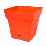 أصيص مربع 18 سم – شكل عصري ومساحة مثالية للزراعة  ( عدسي )