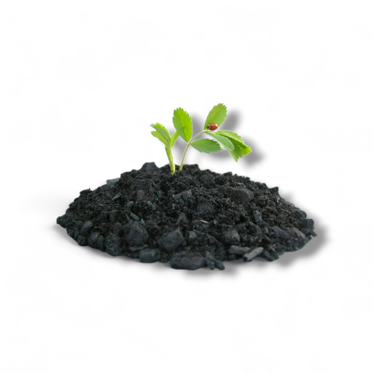 فحم نشط زراعي (Activated Charcoal) – الفلتر الطبيعي لصحة النبات والتربة ( 500 جرام )