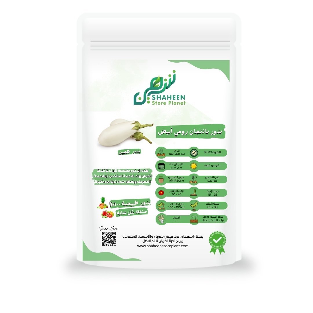 بذور الباذنجان الرومي الأبيض (White Baladi Eggplant Seeds)