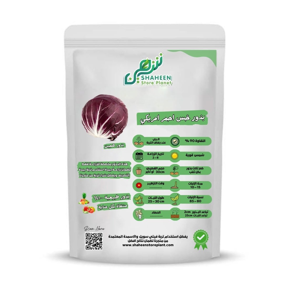 بذور الخس الأحمر الأمريكي (Red American Lettuce Seeds) 10 بذور