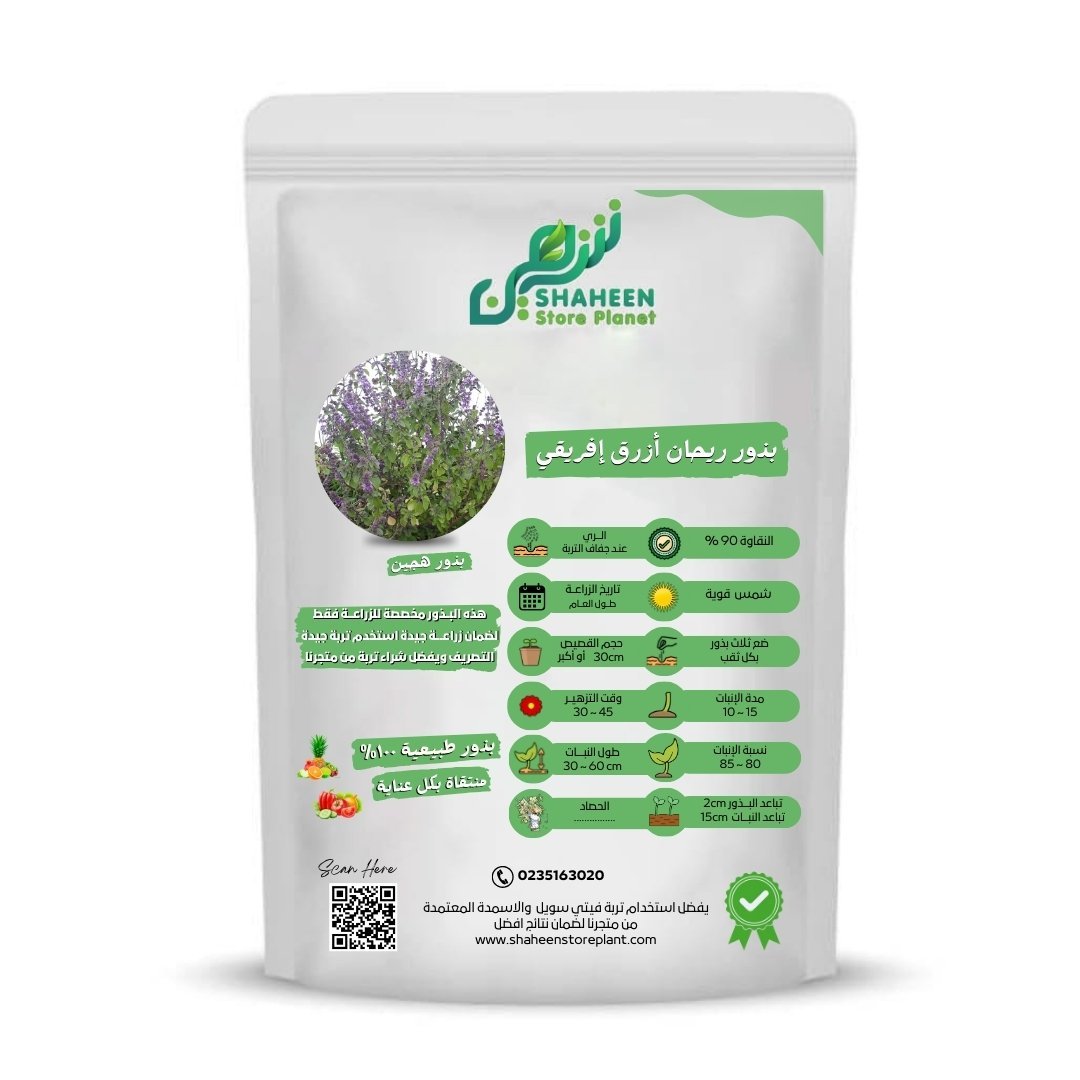 بذور ريحان أزرق أفريقي المقدس(African Blue Basil Seeds) 30 بذرة