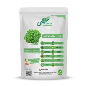 بذور ريحان يوناني 30 بذرة (Greek Basil Seeds) الاسم العلمي: Ocimum basilicum var. minimum
