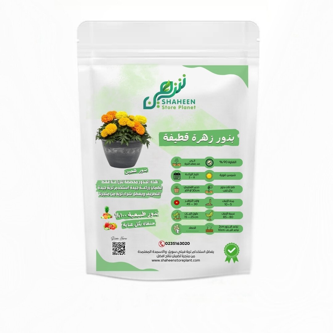 بذور زهرة القطيفة (Tagetes erecta)