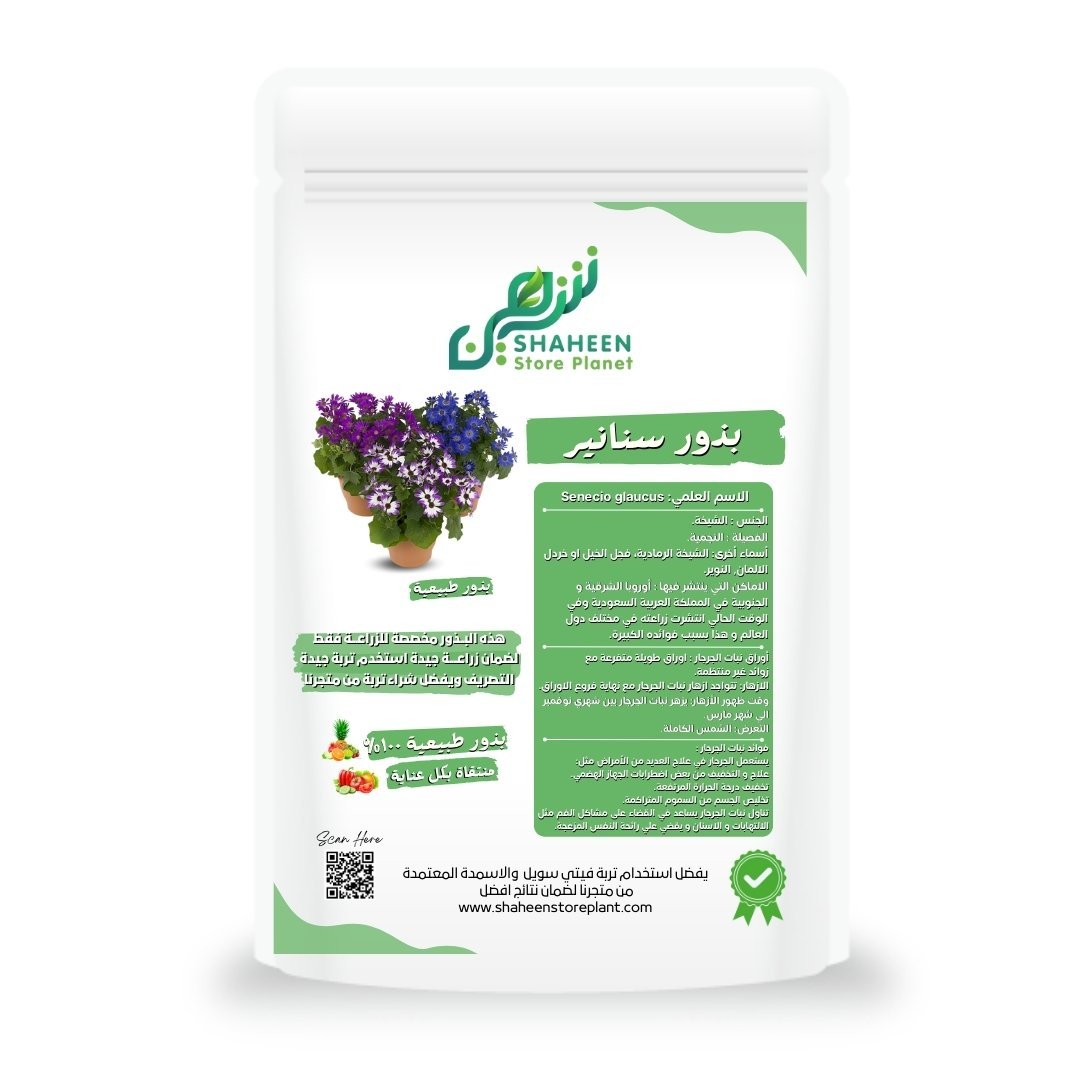 بذور زهرة السنانير (Amaranthus caudatus)