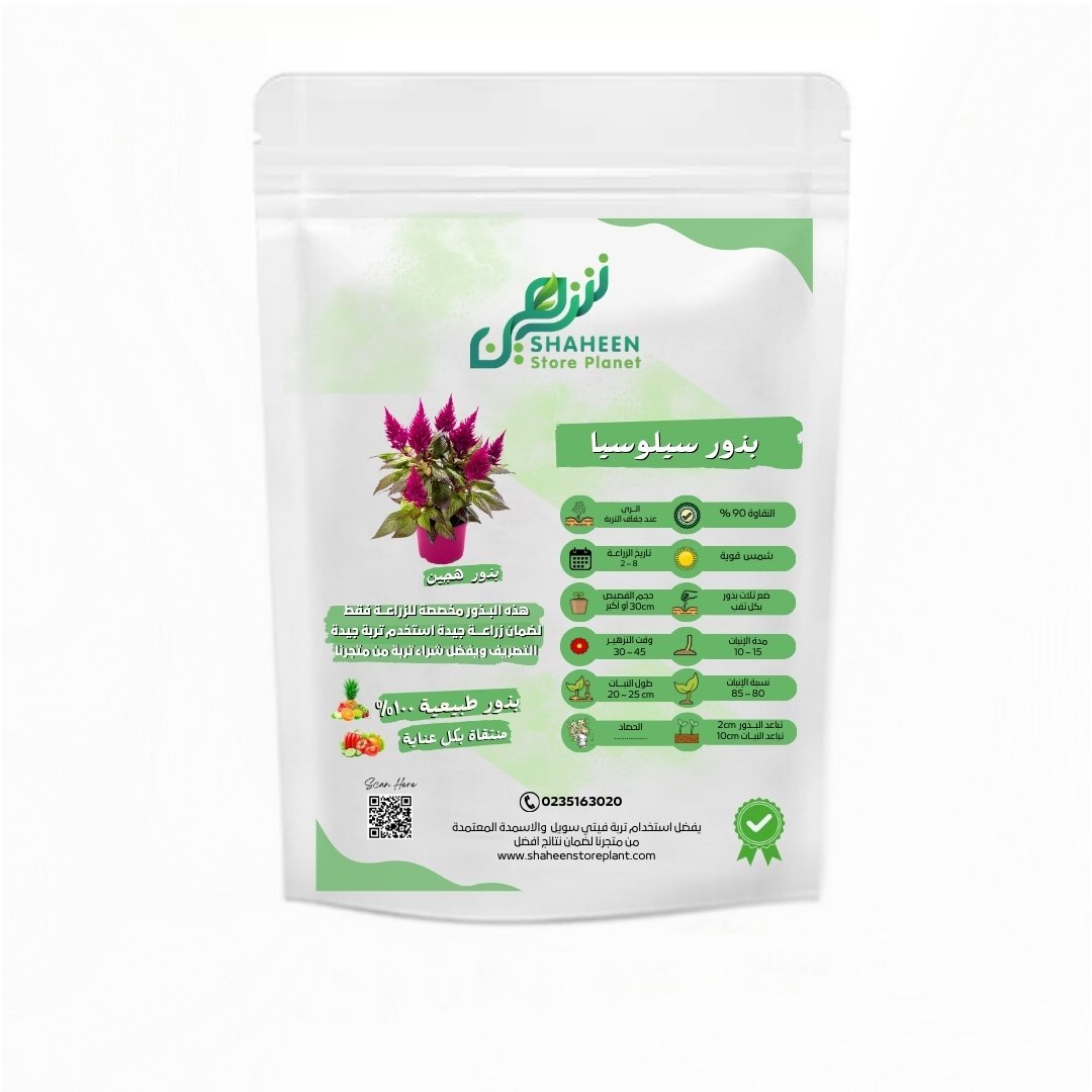 بذور زهرة السيلوسيا (Celosia argentea)