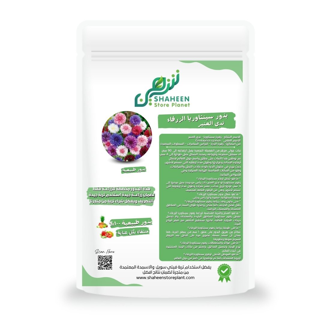 بذور زهرة السينتاوريا الزرقاء (Centaurea cyanus)