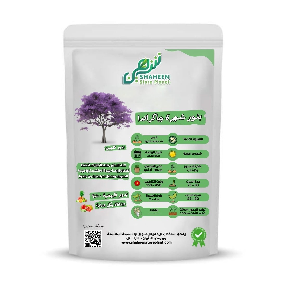 بذور شجرة الجاكراندا (Jacaranda mimosifolia) شجرة الجاكراندا 100 بذرة