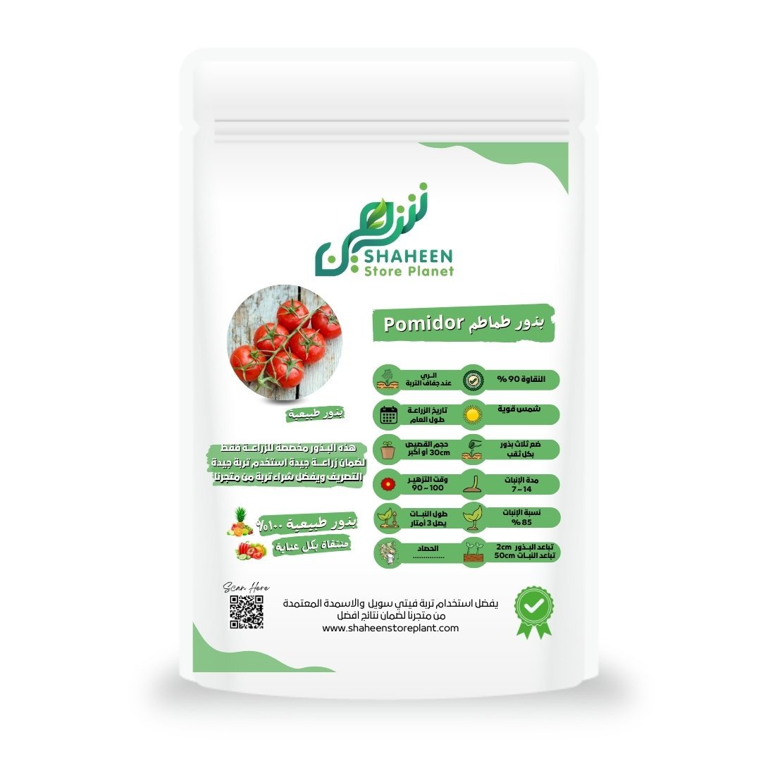 بذور طماطم 10 بذور (Solanum lycopersicum) Pomidor