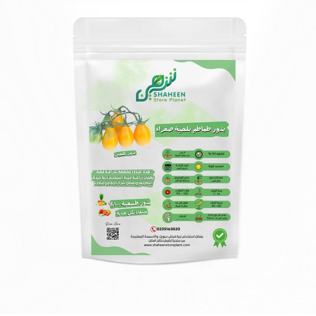 بذور طماطم بلحية صفراء 10 بذور (Solanum lycopersicum) طماطم بلحية صفراء
