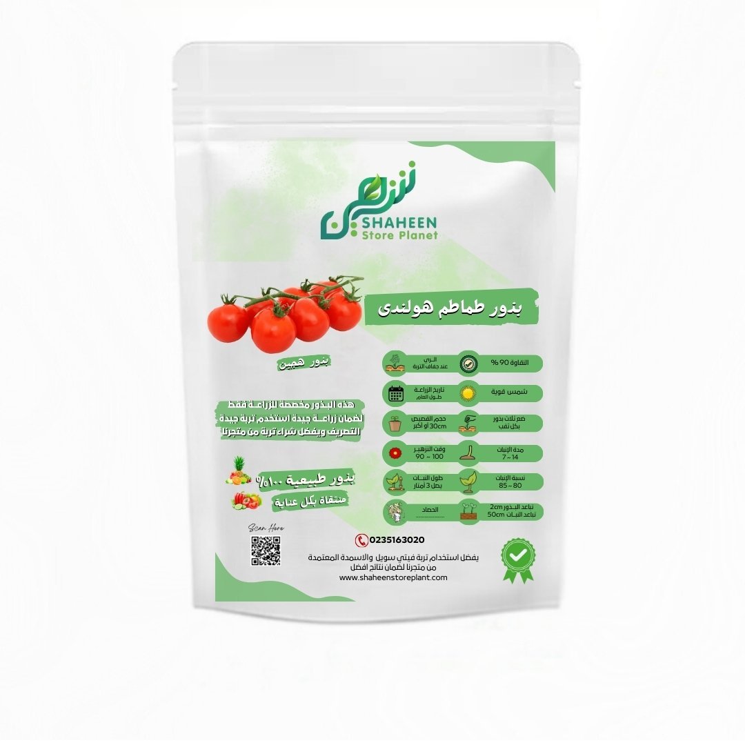 بذور طماطم هولندي 10 بذور (Solanum lycopersicum) طماطم هولندي