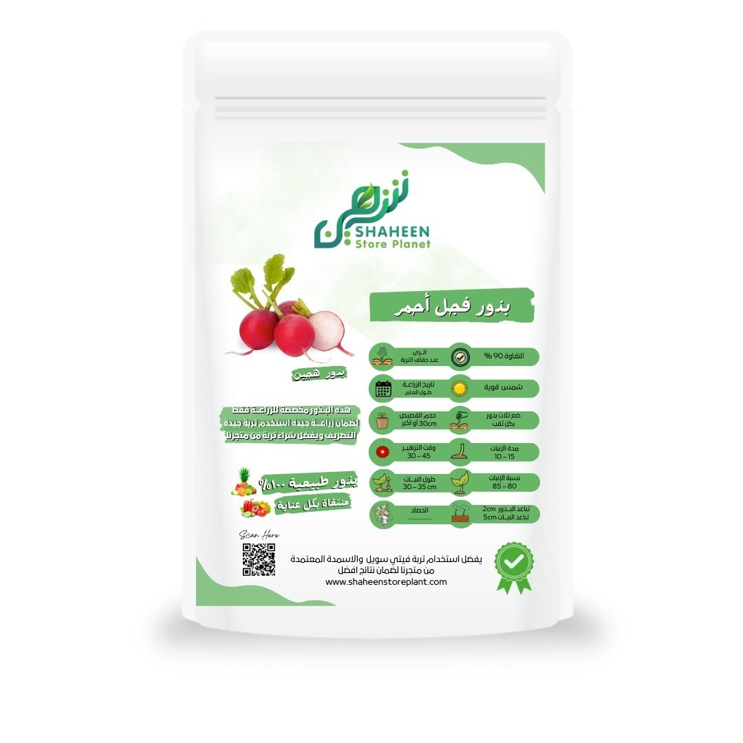 بذور فجل أحمر (Raphanus sativus) فجل أحمر