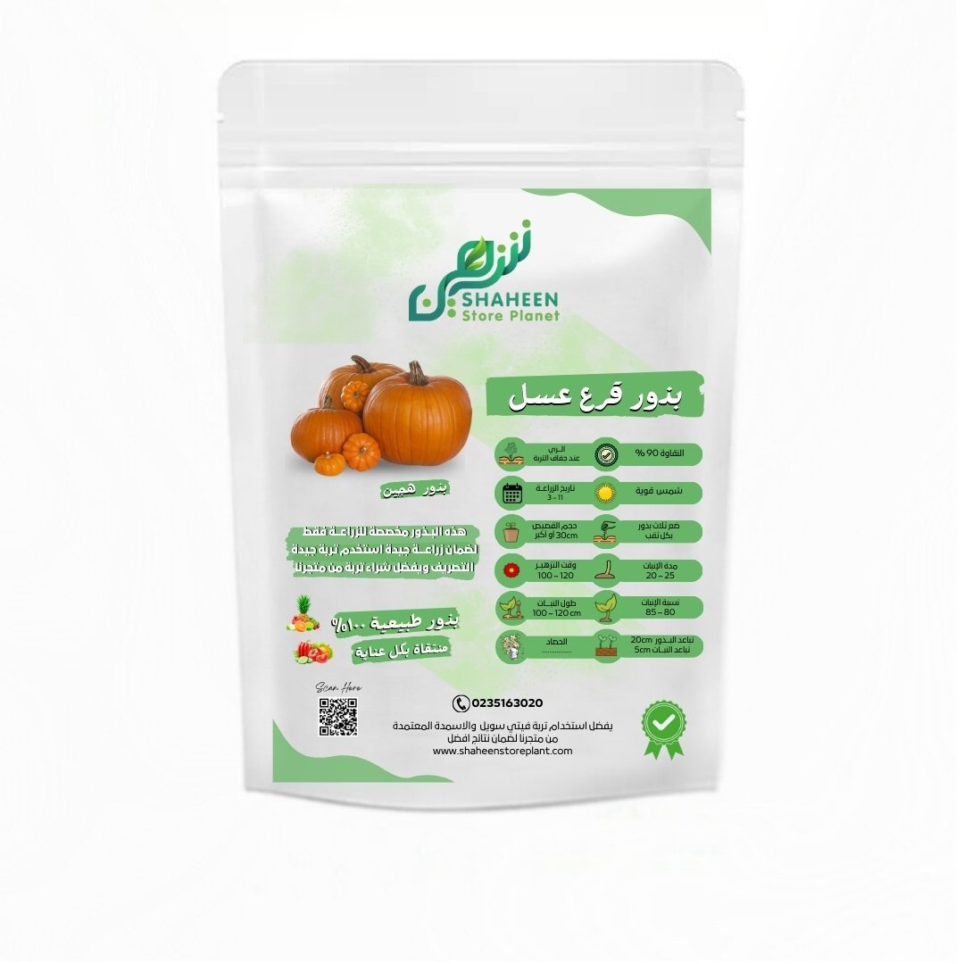 بذور قرع عسل (Cucurbita maxima) قرع عسل