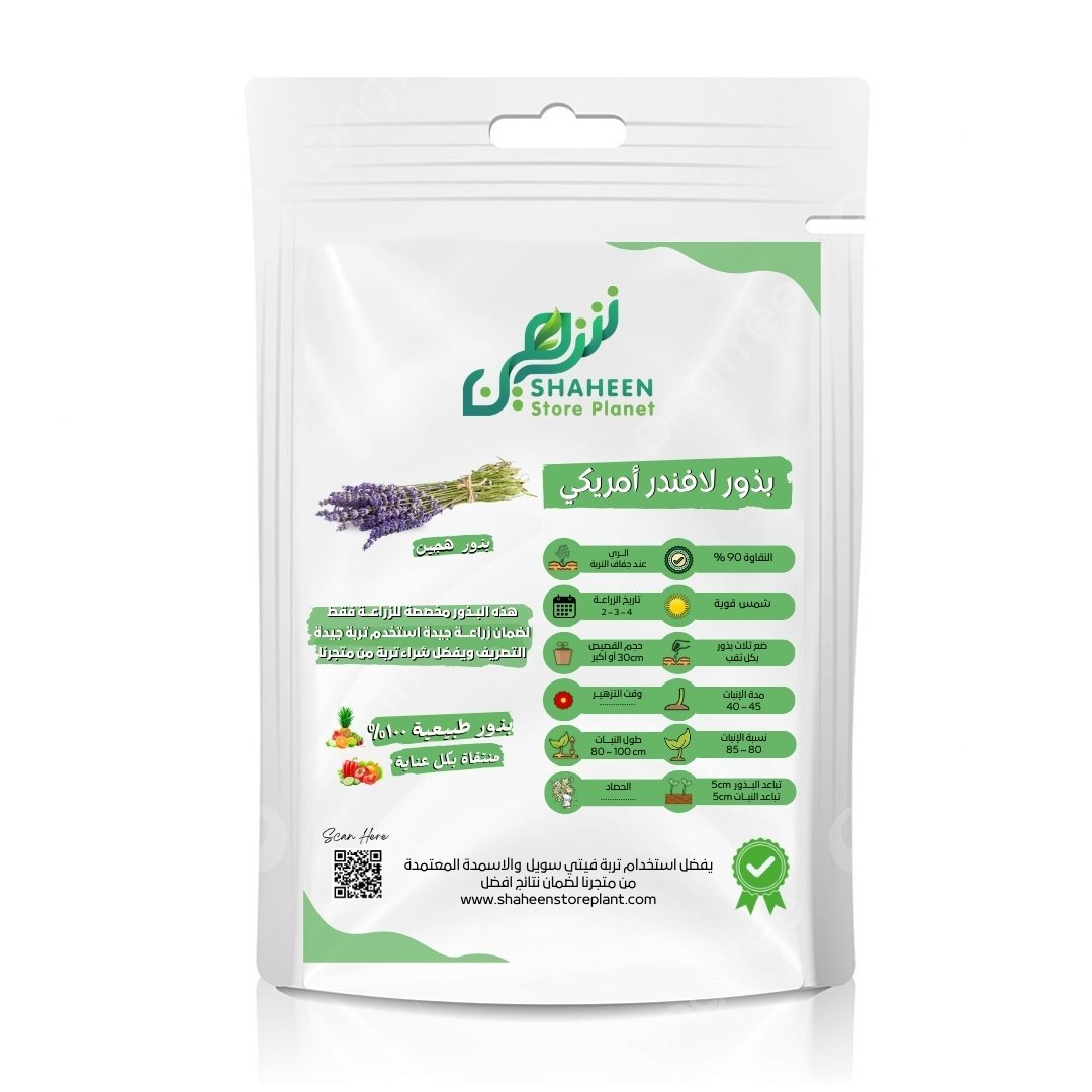 بذور لافندر أمريكي 20 بذرة (Lavandula × intermedia) لافندر أمريكي
