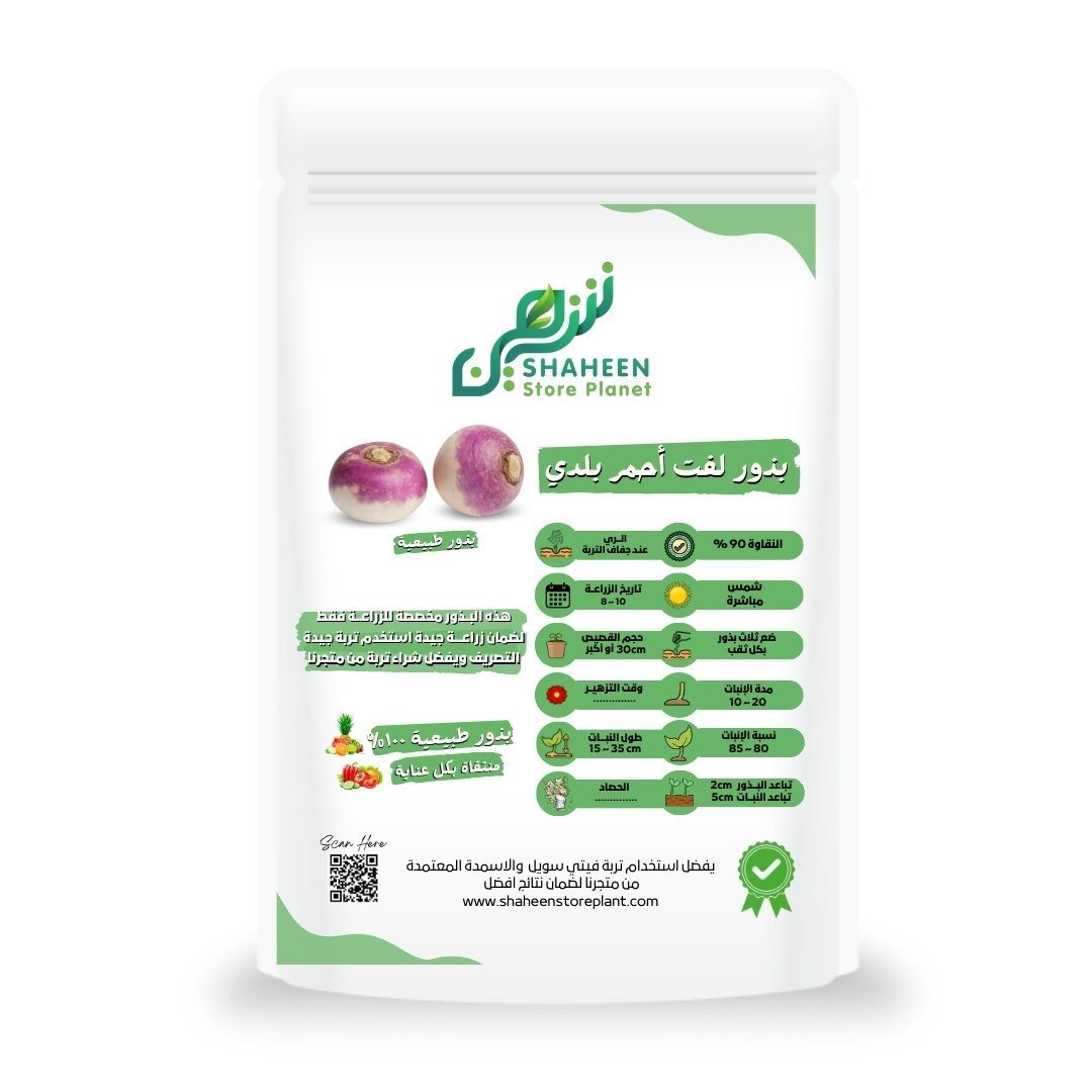 بذور لفت أحمر بلدي (Brassica rapa)