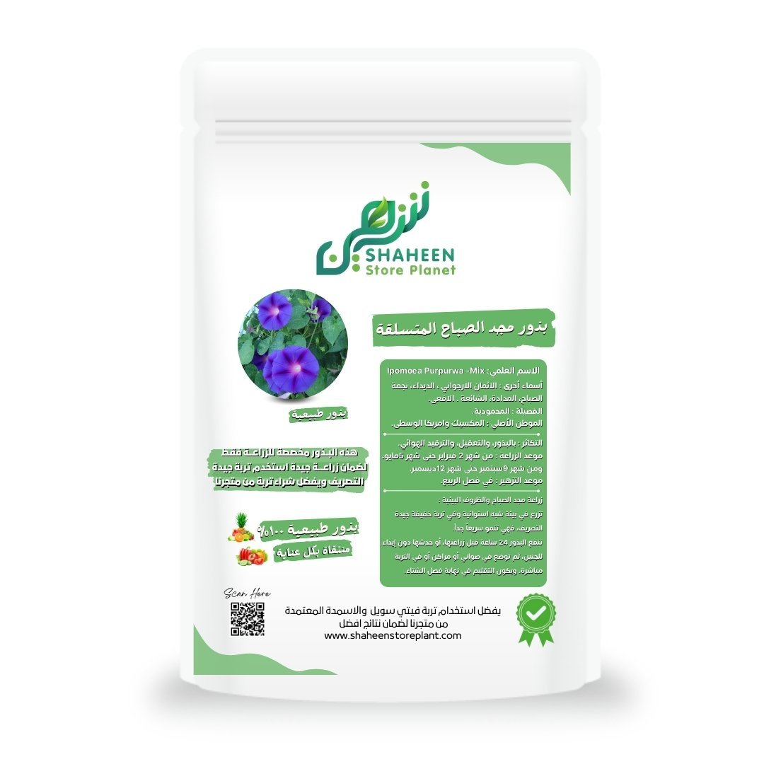 بذور مجد الصباح المتسلقة 20 بذور (Ipomoea purpurea) مجد الصباح Morning Glory