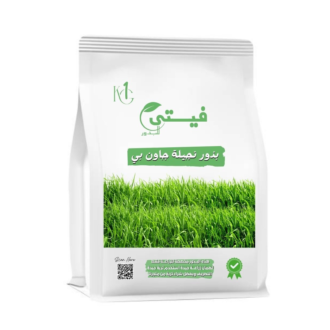 بذور نجيلة "جاون بي" (John P) – الرفاهية الخضراء الدائمة (وزن 1 كيلو)