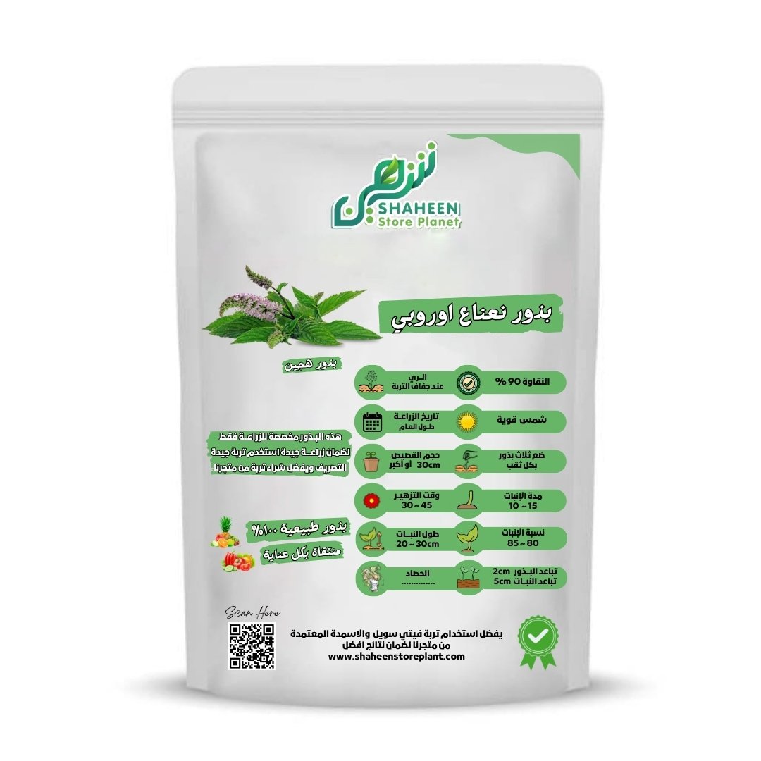 بذور نعناع أوروبي 100 بذرة (Mentha piperita) نعناع أوروبي