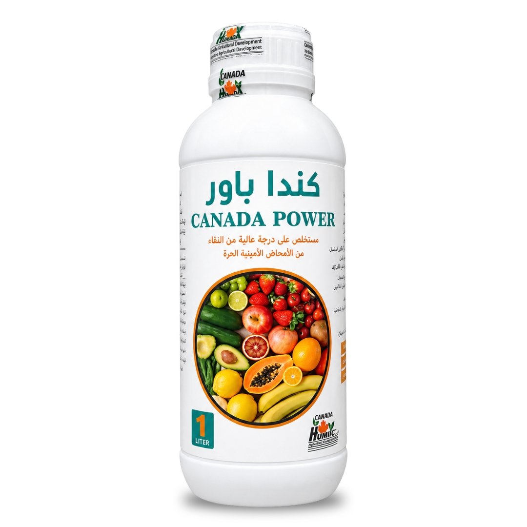 كندا باور (Canada Power) – مستخلص الأحماض الأمينية الحرة (1 ليتر)