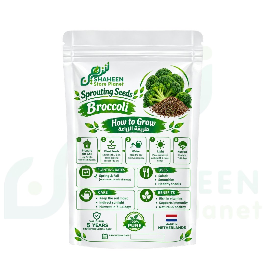 بذور استنبات البروكلي (ميكروجرين) - Shaheen Store Planet (100 جرام) - الصورة 2