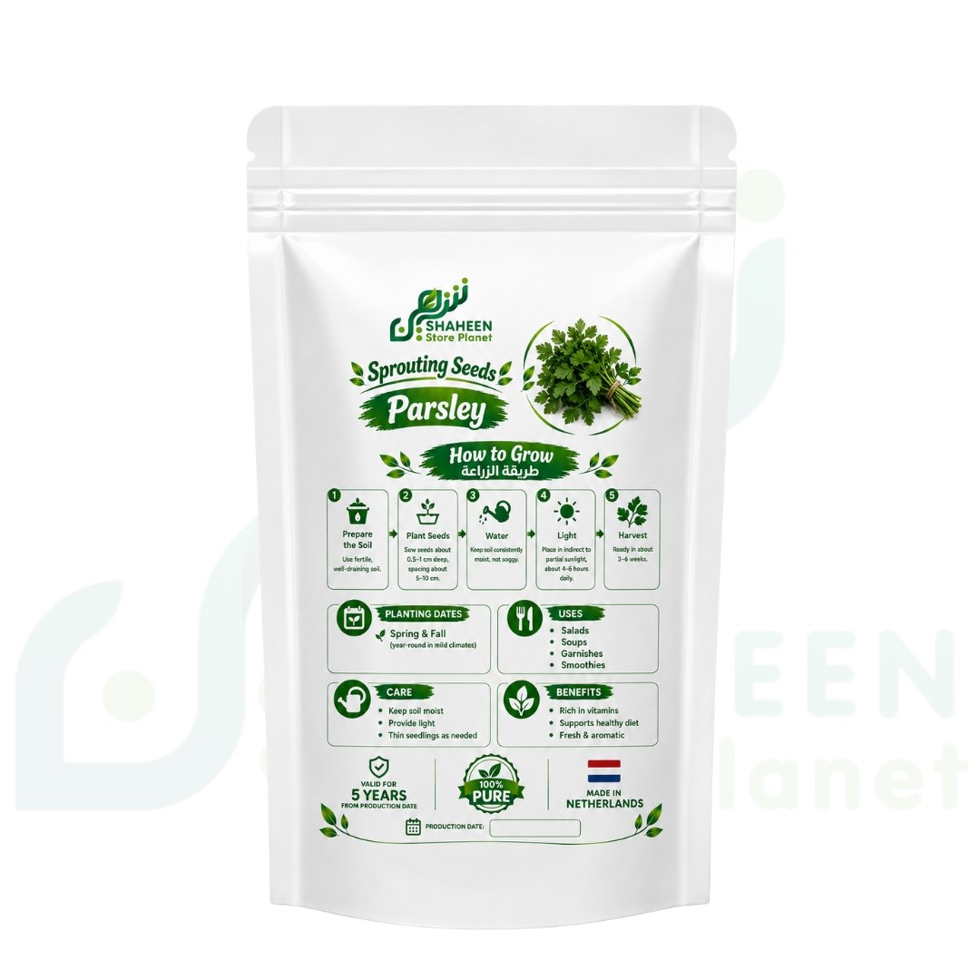 بذور استنبات البقدونس (ميكروجرين) - Shaheen Store Planet (100 جرام) - الصورة 2