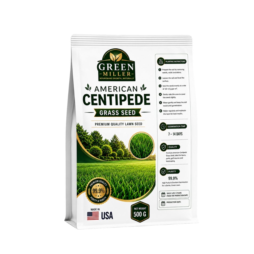 بذور حشائش سنتيبيد الأمريكية (Centipede Grass Seed) – 500 جرام – GREEN MILLER - الصورة 2