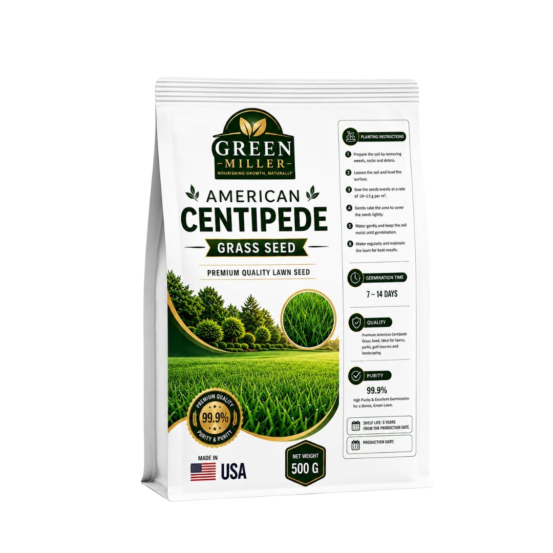 بذور حشائش سنتيبيد الأمريكية (Centipede Grass Seed) – 500 جرام – GREEN MILLER